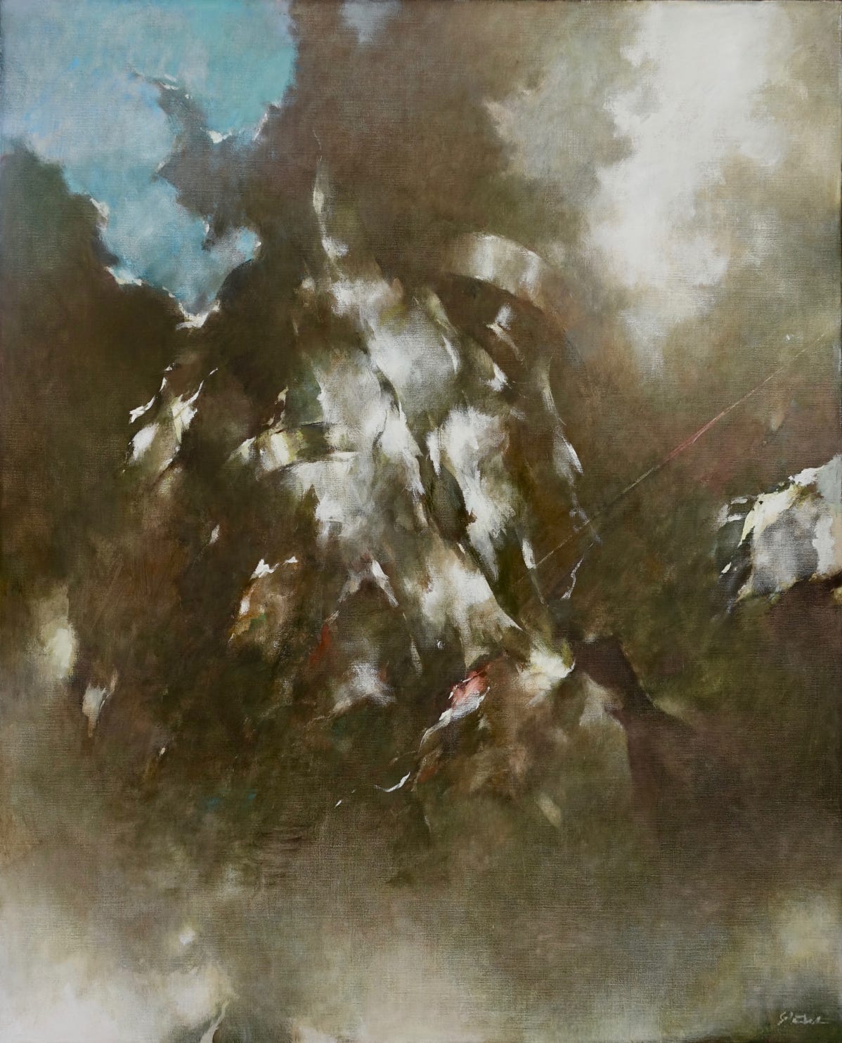 Peter Schubert Aurora 2008