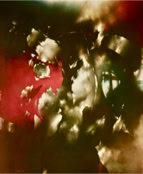 2004_Vision III