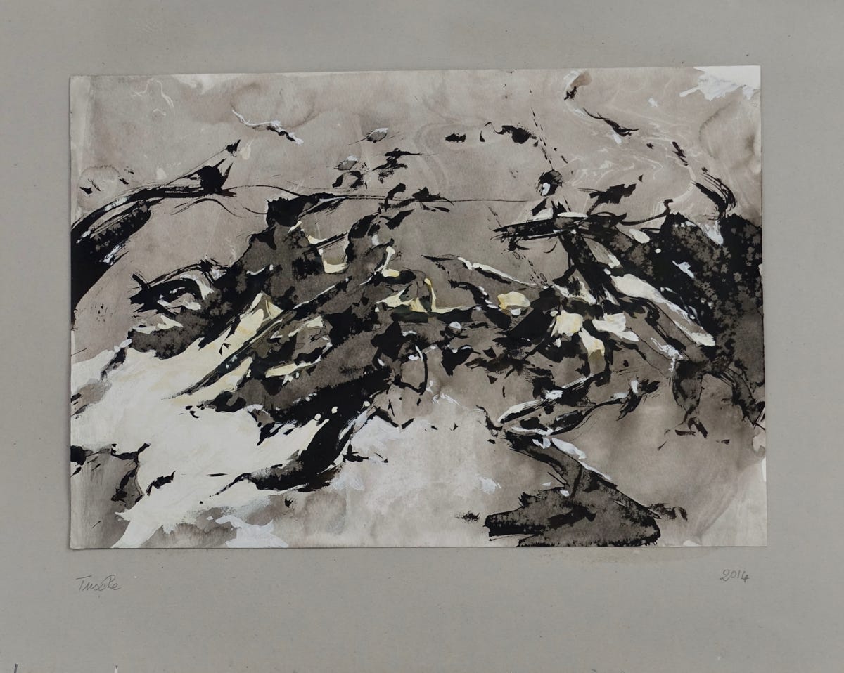 Peter Schubert Tusche 2014