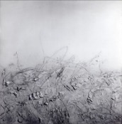 Weisse Landschaft 1963