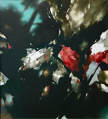 2009-Flores